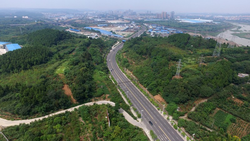 飛云大道改造工程