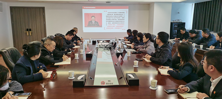 集團黨委委員、副總經(jīng)理賀維維同志講授專題黨課